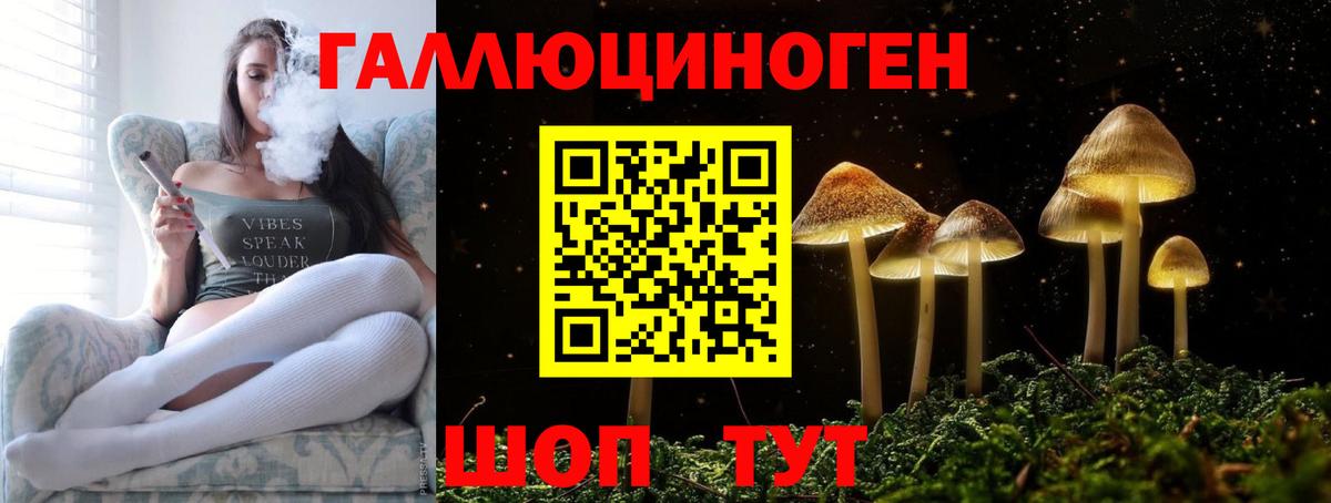 Галлюциногенные грибы мухоморы Трёхгорный